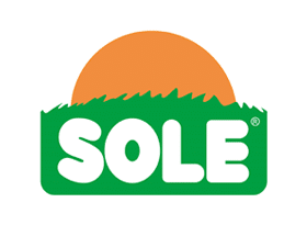 sole-1
